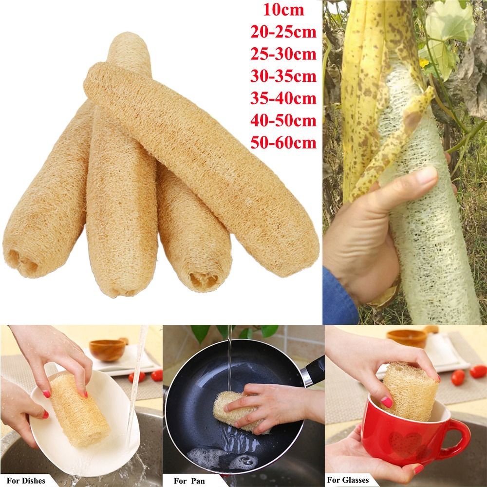 Natural Loofah Luffa Sponge No - Body Loofah Natural 评论和价格