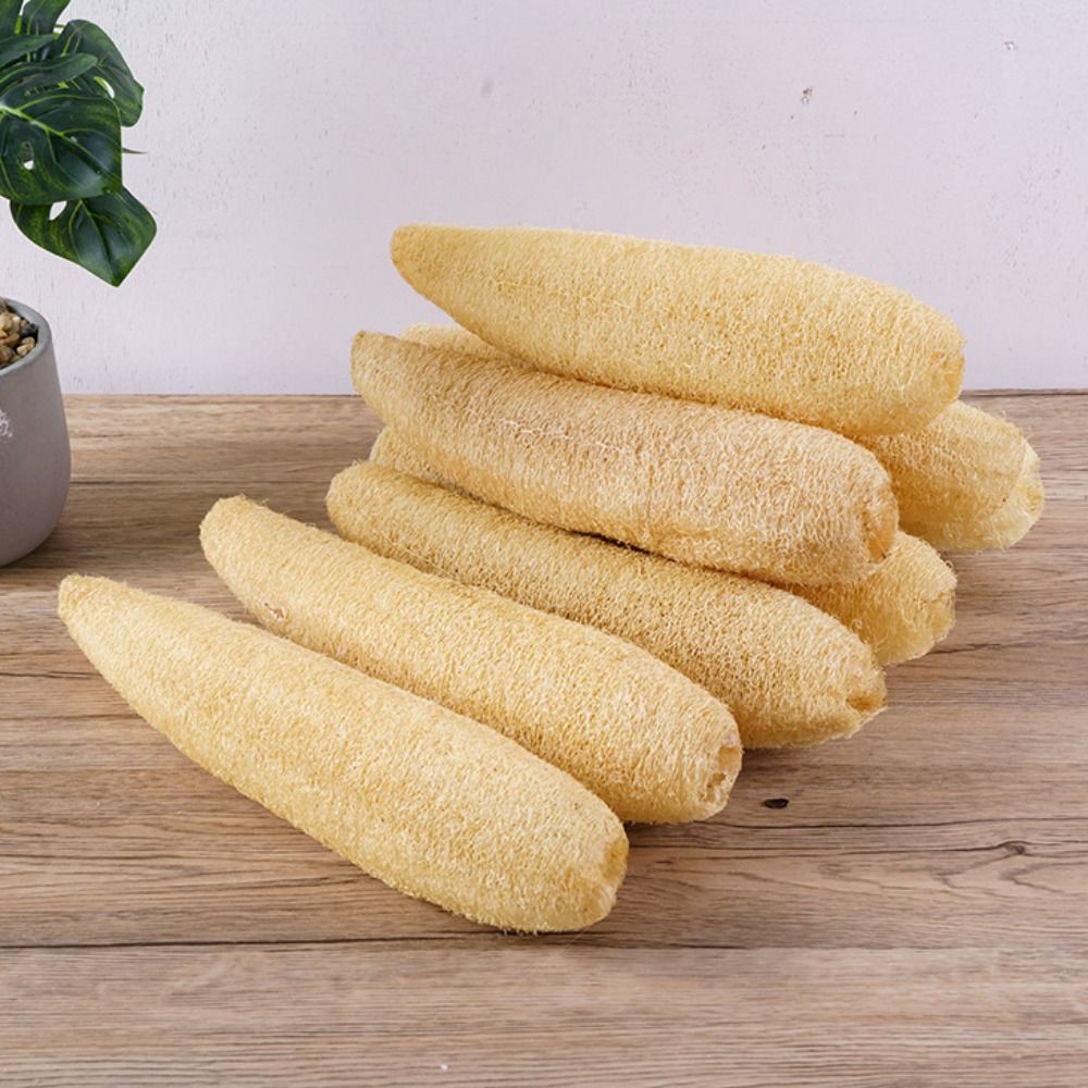 Natural Loofah Luffa Sponge No - Body Loofah Natural 评论和价格