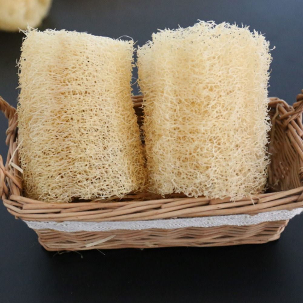 Natural Loofah Luffa Sponge No - Body Loofah Natural 评论和价格