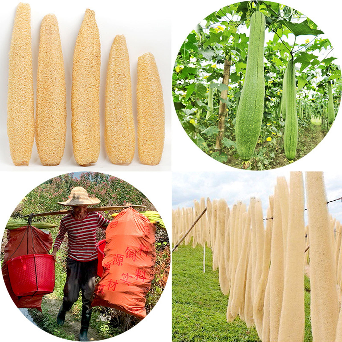 1pcs Natural Loofah Sponge Mul - Body Loofah Natural 评论和价格