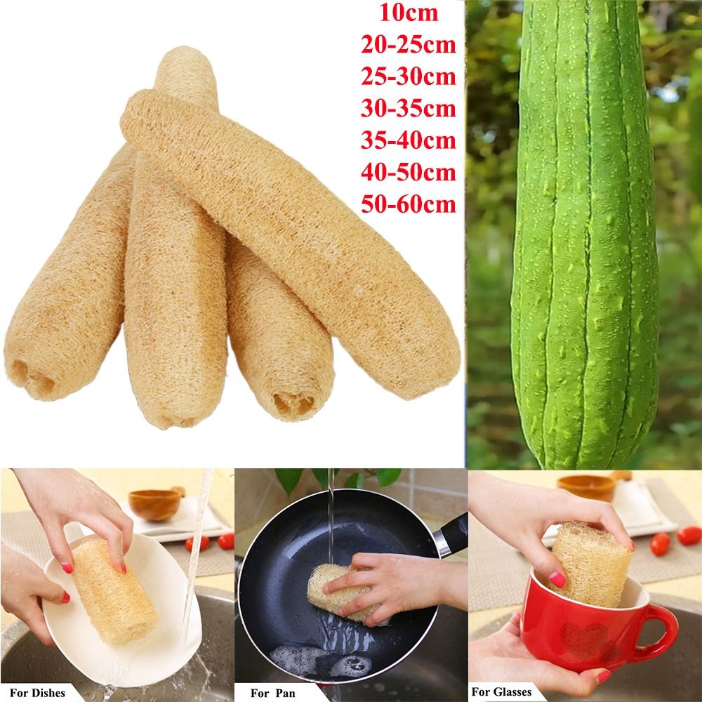 Natural Loofah Luffa Sponge Lo - Body Loofah Natural 评论和价格