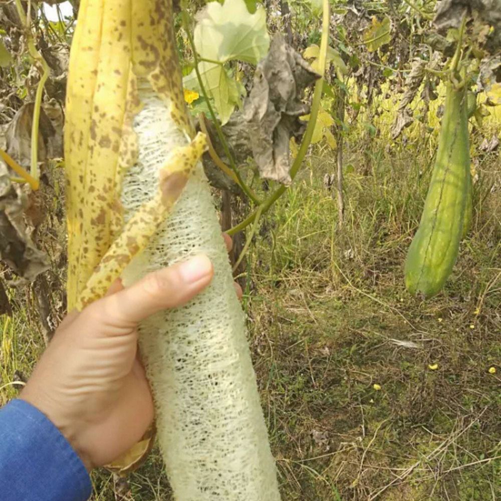 Natural Loofah Luffa Sponge Lo - Body Loofah Natural 评论和价格