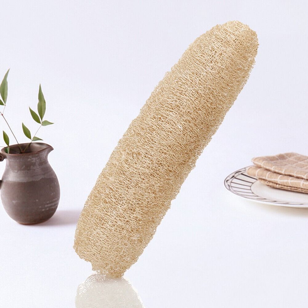 Natural Loofah Luffa Sponge Lo - Body Loofah Natural 评论和价格