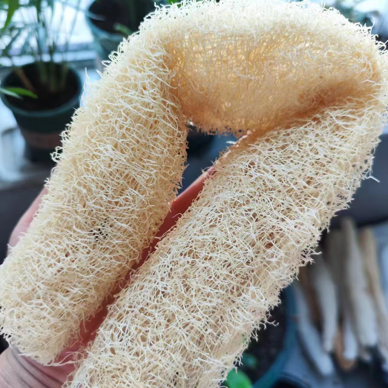 Marvelous Loofah Sponge Versat - Body Loofah Natural 评论和价格