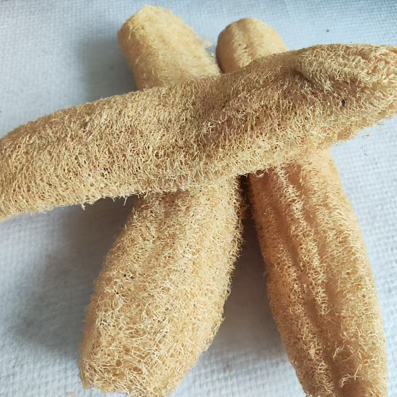 Marvelous Loofah Sponge Versat - Body Loofah Natural 评论和价格